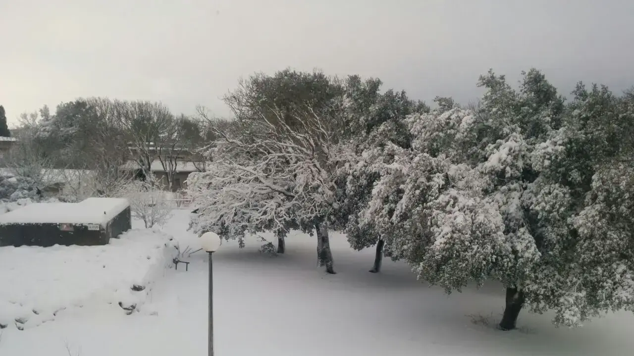 שלג בקיבוץ עין זיוון שברמת הגולן, 28 בינואר 2017