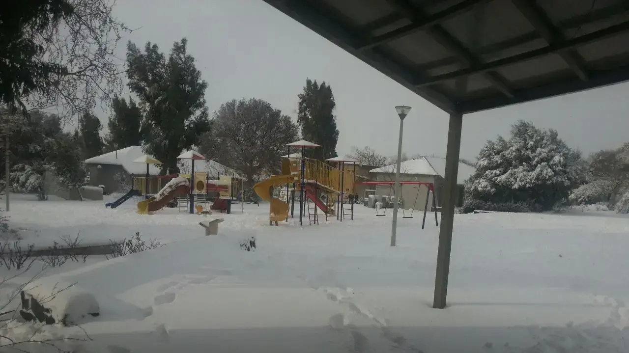 שלג בקיבוץ עין זיוון, 28 בינואר 2017 שלג בקיבוץ עין זיוון, 28 בינואר 2017