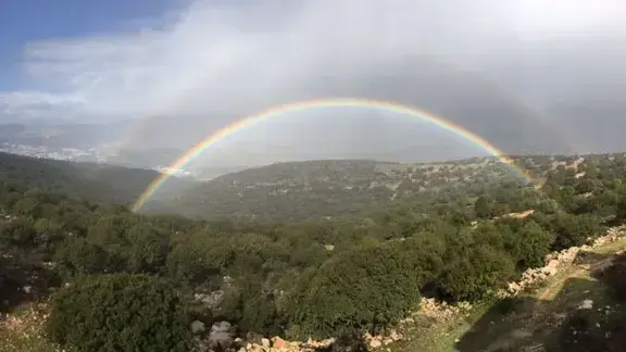קשת בענן מעל בקעת בית הכרם, 28 בינואר 2017 קשת בענן מעל בקעת בית הכרם, 28 בינואר 2017