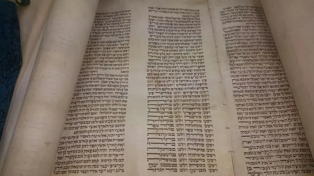 ספרי תורה מתקופת השואה שנבזזו על ידי הנאצים. ינואר 2017 ספרי תורה מתקופת השואה שנבזזו על ידי הנאצים. ינואר 2017