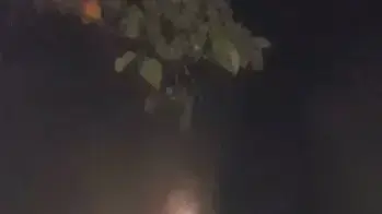 שריפה בחניון תת קרקעי ברחוב הרב נריה, ראשון לציון, 31 בינואר 2017 שריפה בחניון תת קרקעי ברחוב הרב נריה, ראשון לציון, 31 בינואר 2017