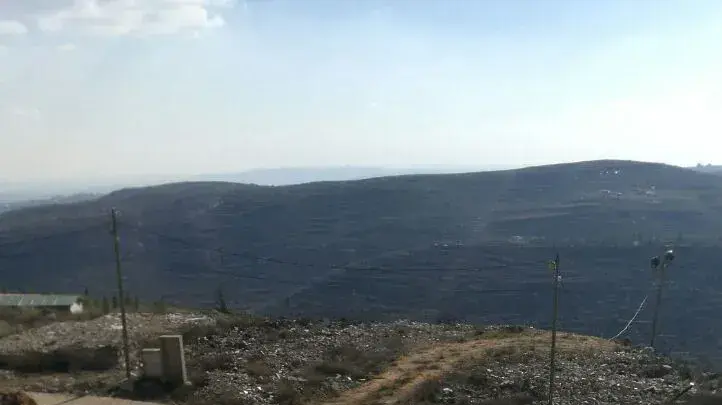 מתנגדי פינוי מאחז עמונה בורחים מתוך מבנה בית הכנסת לאחר עימות אלים עם המשטרה, 2 בפברואר 2017 מתנגדי פינוי מאחז עמונה בורחים מתוך מבנה בית הכנסת לאחר עימות אלים עם המשטרה, 2 בפברואר 2017