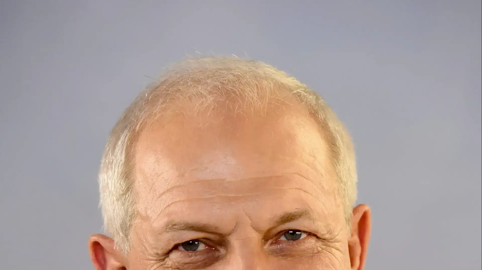 חיים כץ 
