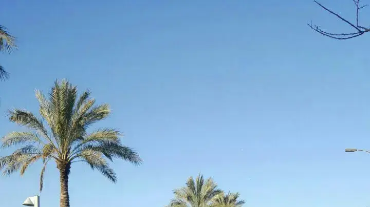 מבצע אכיפה נגד אלטעזאכן במודיעין, פברואר 2017 מבצע אכיפה נגד אלטעזאכן במודיעין, פברואר 2017