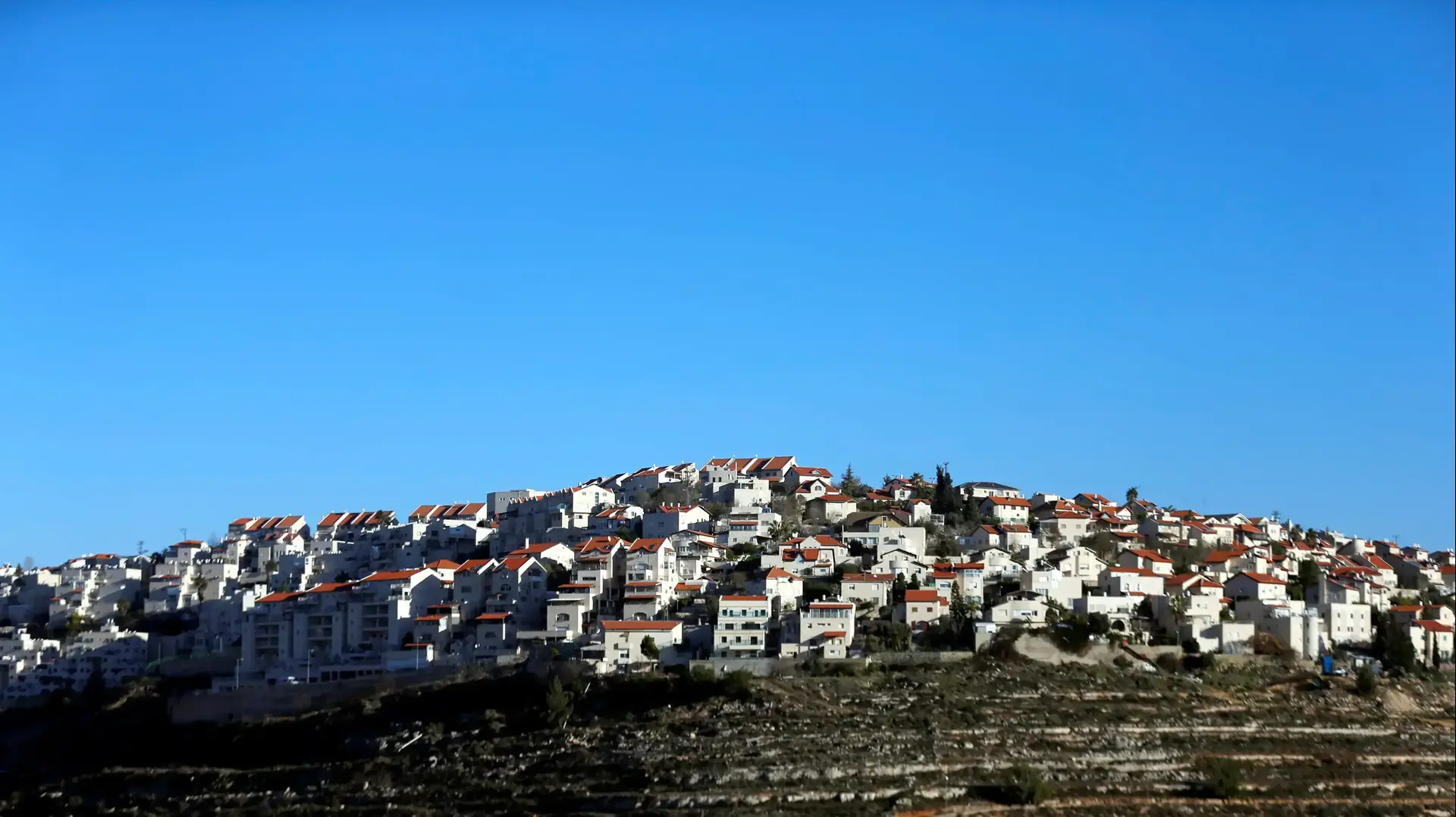 ההתנחלות גבעת זאב. פברואר 2017