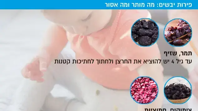 פירות יבשים: מה מותר ומה אסור פירות יבשים: מה מותר ומה אסור