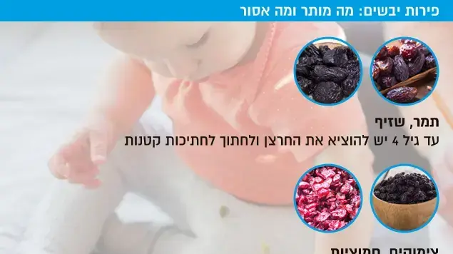 פירות יבשים: מה מותר ומה אסור פירות יבשים: מה מותר ומה אסור