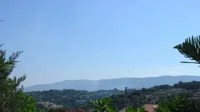 תמונות גולשים 7
