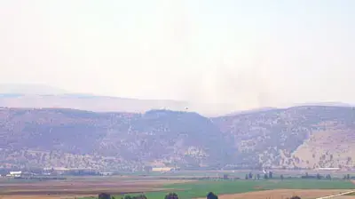 תמונות גולשים 4