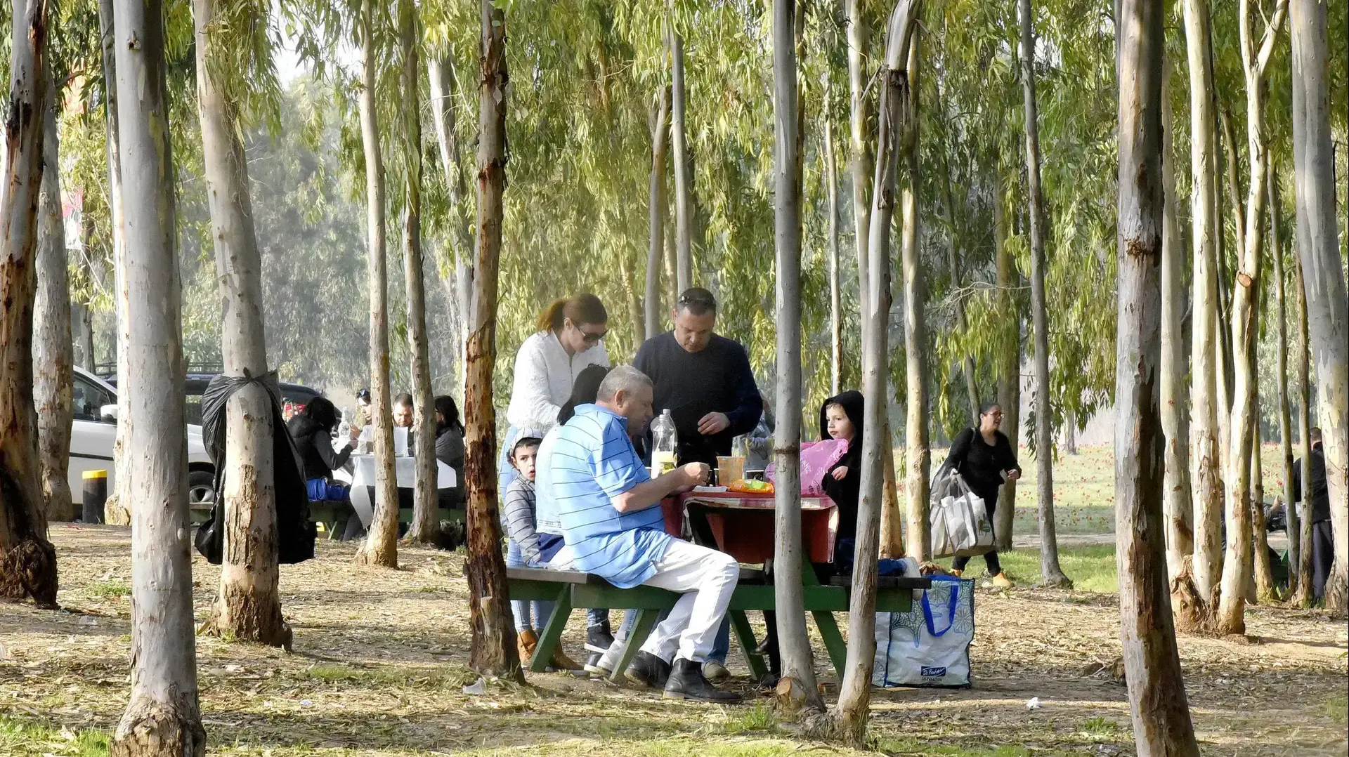 מטיילים בשדה כלניות בשמורות הטבע פברואר 2017 מטיילים בשדה כלניות בשמורות הטבע פברואר 2017