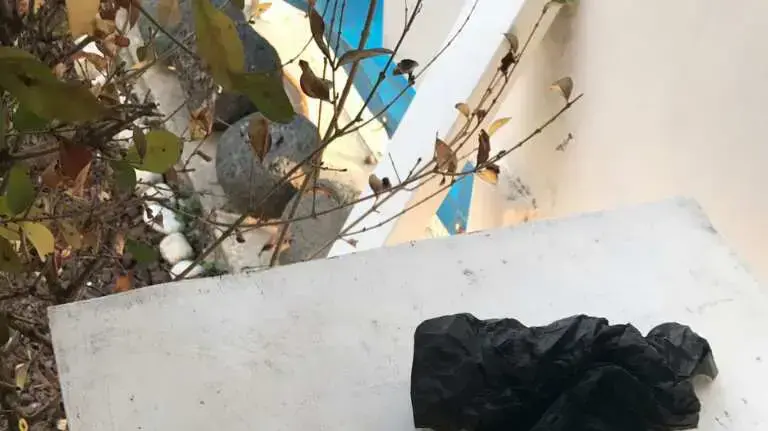 ניסיון פיגוע דקירה במערת המכפלה, חברון, פברואר 2017 ניסיון פיגוע דקירה במערת המכפלה, חברון, פברואר 2017