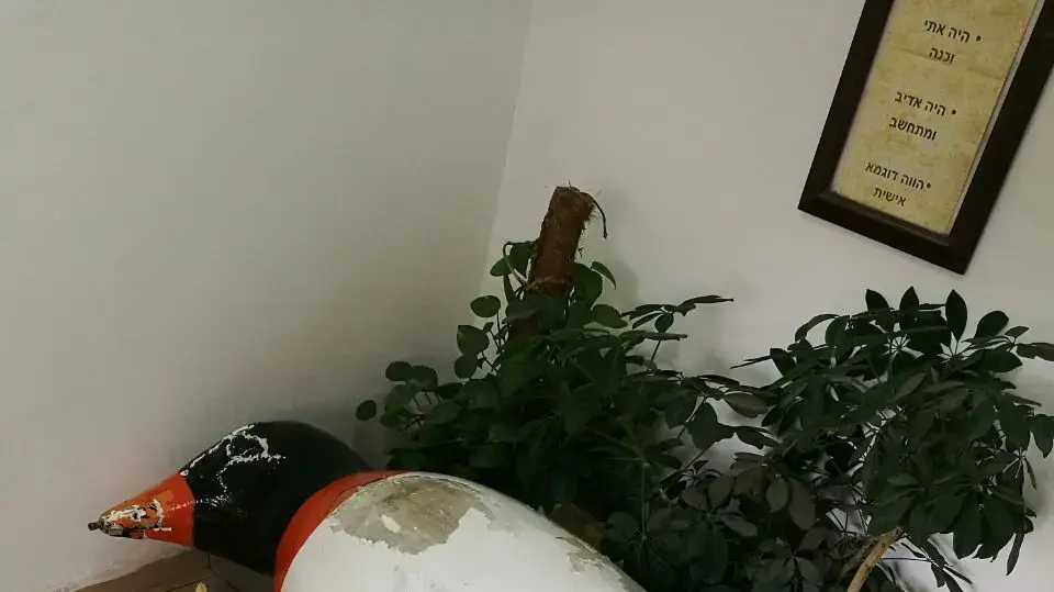 פינגווין שהוצב בכיכר בה פגע רכב אמש בקרית מוצקין, 11 בפברואר 2017 פינגווין שהוצב בכיכר בה פגע רכב אמש בקרית מוצקין, 11 בפברואר 2017