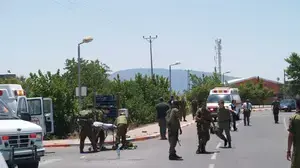 תמונת גולשים 47