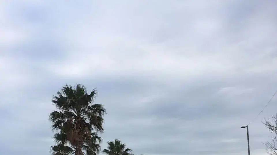 קריסת מנוף בבת ים קוממיות, 13 בפברואר 2017 קריסת מנוף בבת ים קוממיות, 13 בפברואר 2017