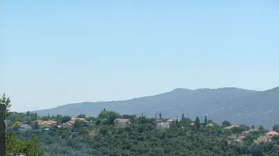 תמונות גולשים 44