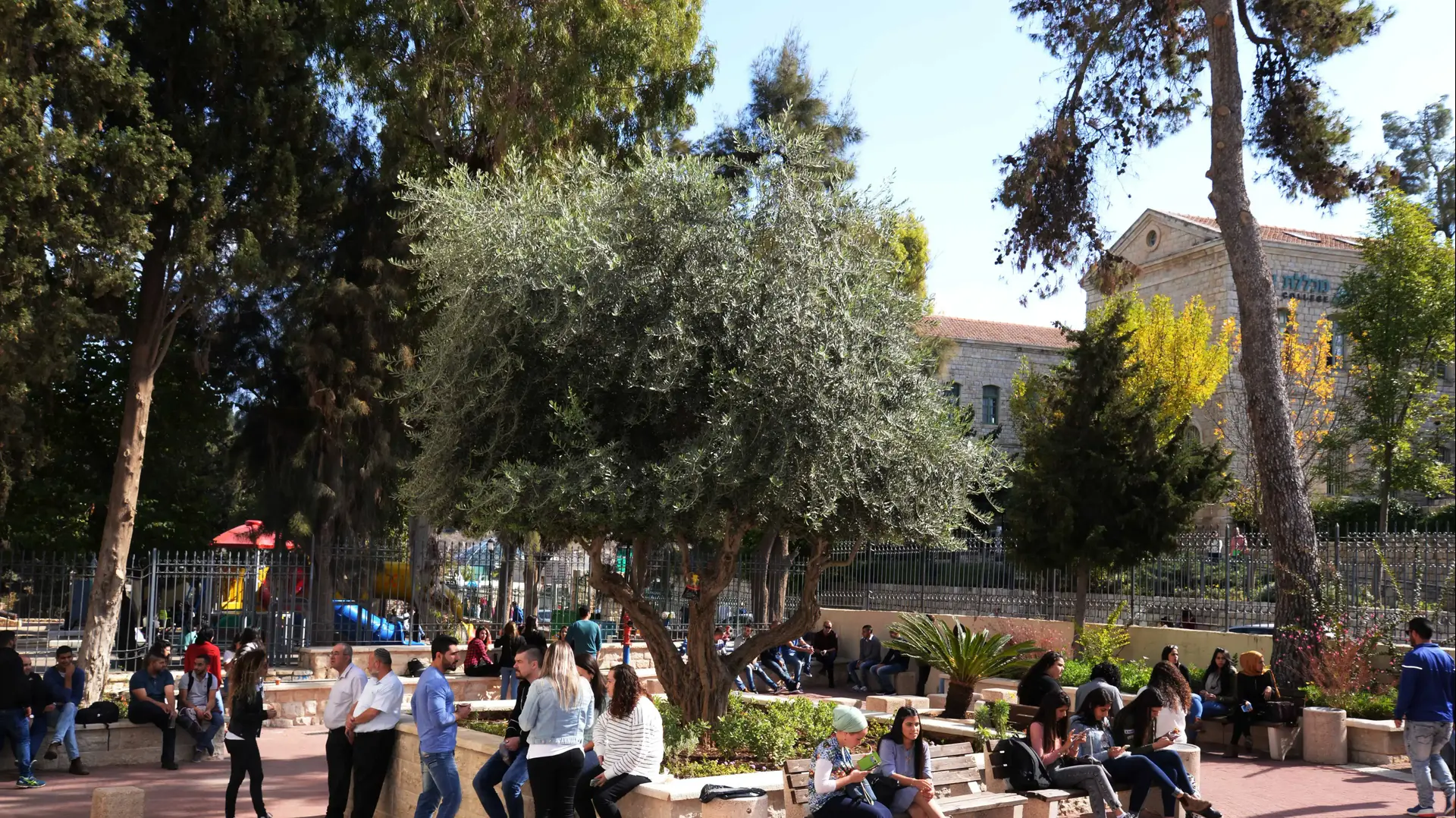 מכללת צפת וסטודנטים במכללת צפת מכללת צפת וסטודנטים במכללת צפת