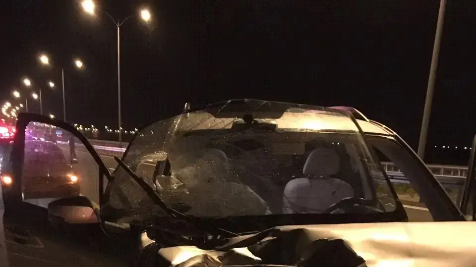 הולך רגל נהרג מפגיעת כלי רכב בכביש 31, בסמוך ללהבים שבדרום, 17 בפברואר 2017 הולך רגל נהרג מפגיעת כלי רכב בכביש 31, בסמוך ללהבים שבדרום, 17 בפברואר 2017