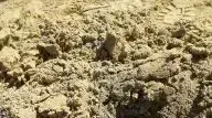 רקטה ששוגרה מסיני נפלה בשטח פתוח במועצה האזורית אשכול, פברואר 2017 רקטה ששוגרה מסיני נפלה בשטח פתוח במועצה האזורית אשכול, פברואר 2017