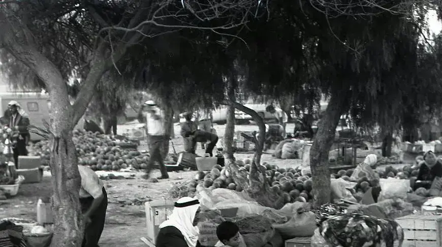 השוק הבדואי בבאר שבע בשנת 1974, קרדיט דודו גרינשפן השוק הבדואי בבאר שבע בשנת 1974, קרדיט דודו גרינשפן