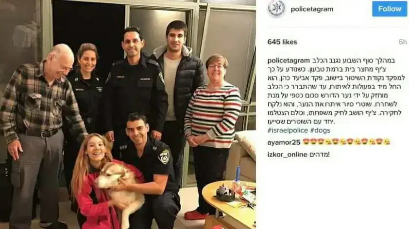כלבים מקרית טבעון נגנבו תמורת כופר והוחזרו לבעליהם כלבים מקרית טבעון נגנבו תמורת כופר והוחזרו לבעליהם