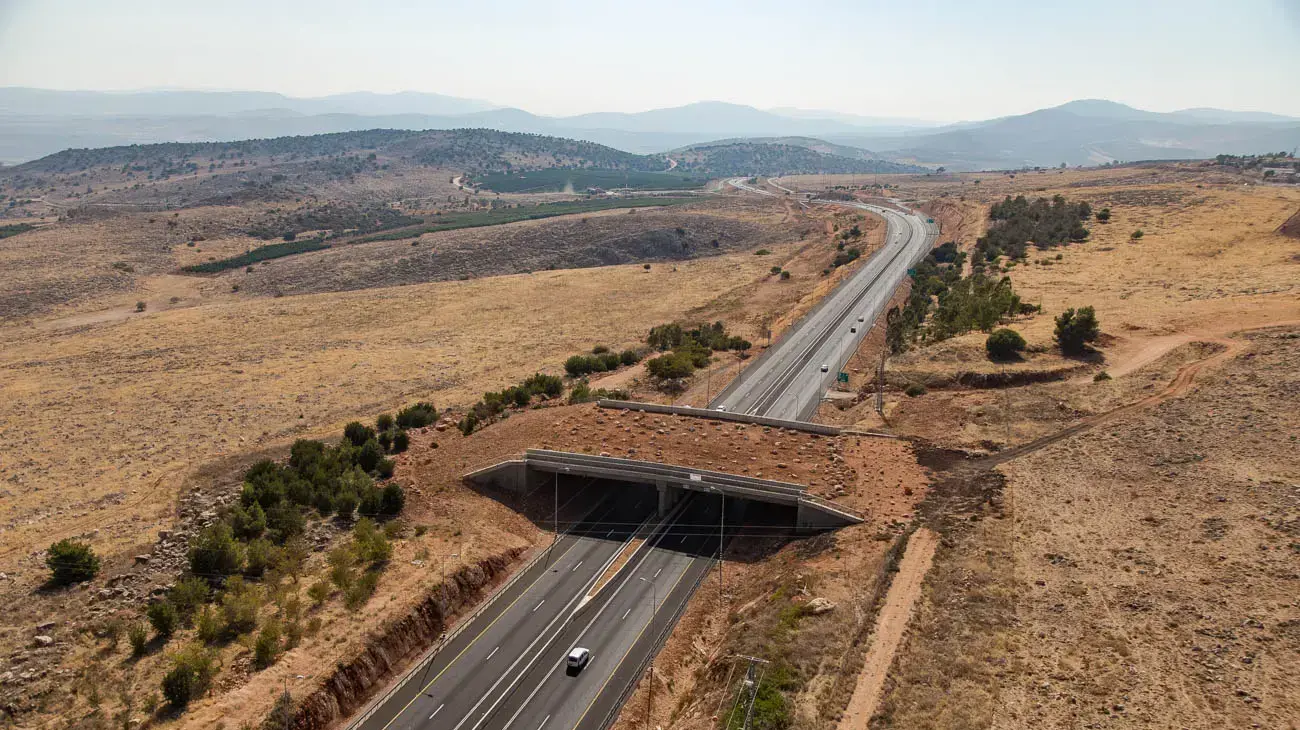 מעברי חצייה בטוחים לחיות בר אטלס הכבישים האדומים לחיות בר - כביש 85 מעברי חצייה בטוחים לחיות בר אטלס הכבישים האדומים לחיות בר - כביש 85