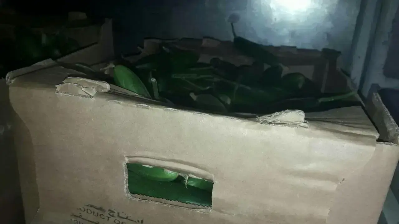 ירקות שגודלו בעזה נמכרו לבסיס צה"ל על גבול הרצועה, מרץ 2017 ירקות שגודלו בעזה נמכרו לבסיס צה"ל על גבול הרצועה, מרץ 2017