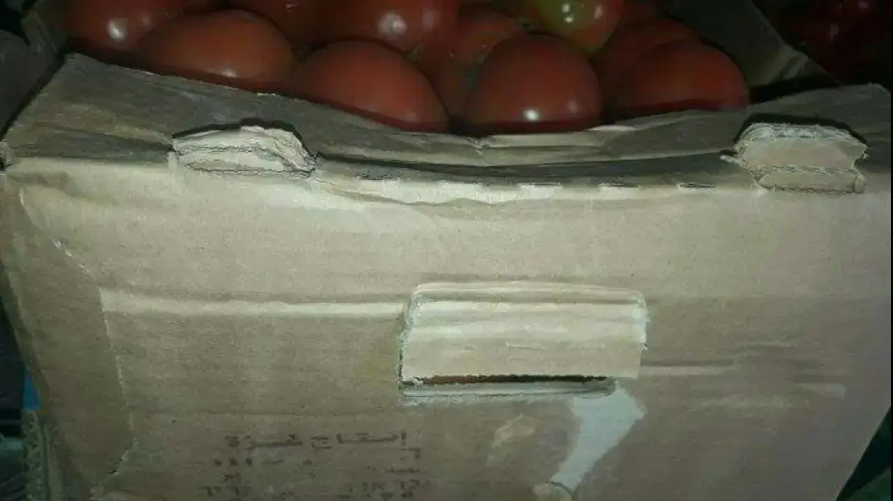 ירקות שגודלו בעזה נמכרו לבסיס צה"ל על גבול הרצועה, מרץ 2017 ירקות שגודלו בעזה נמכרו לבסיס צה"ל על גבול הרצועה, מרץ 2017