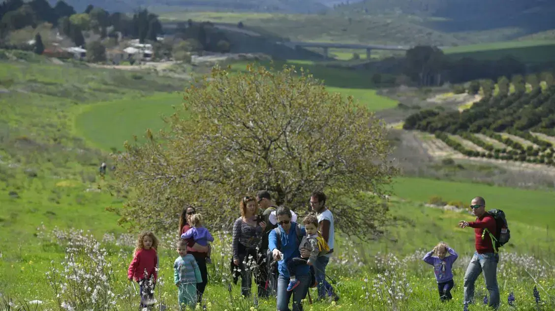 מטיילים ברמת הושפט , 4 במרץ 2017 מטיילים ברמת הושפט , 4 במרץ 2017