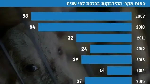 אינפו כמות מקרי ההידבקוטת בכלבת לפי שנים , 2017 אינפו כמות מקרי ההידבקוטת בכלבת לפי שנים , 2017