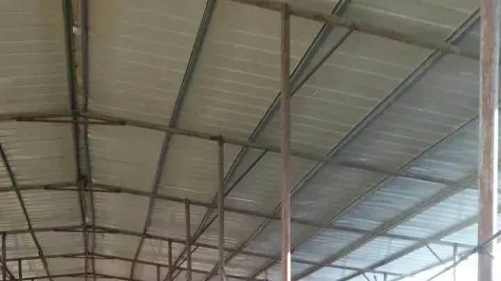 אדיר חדד חקלאי צעיר שטלאיו נגנבו, 7 במרץ 2017 אדיר חדד חקלאי צעיר שטלאיו נגנבו, 7 במרץ 2017