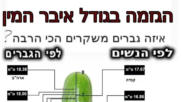 הגדמה בגודל איבר המין הגדמה בגודל איבר המין