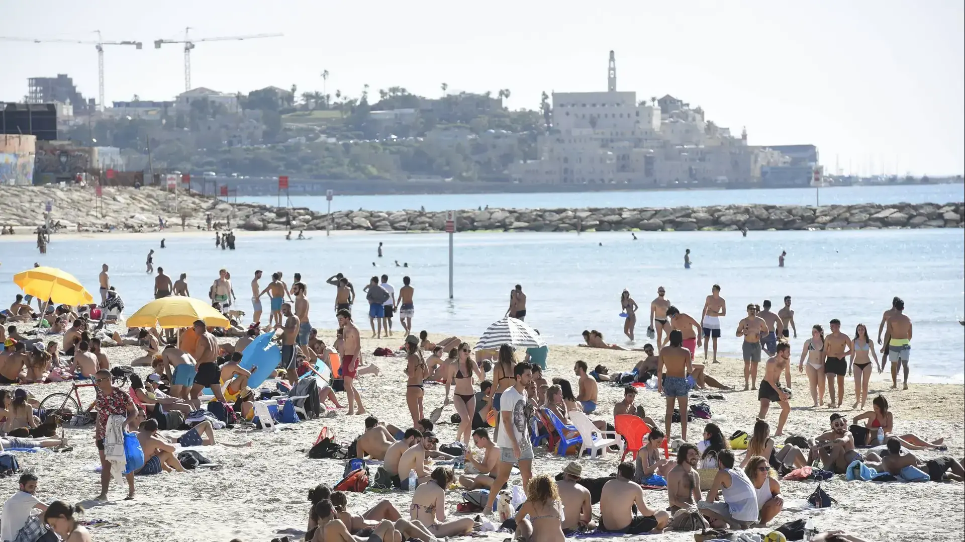 מבלים בחוף הים גורדון, תל אביב. 9 במרץ 2017 מבלים בחוף הים גורדון, תל אביב. 9 במרץ 2017