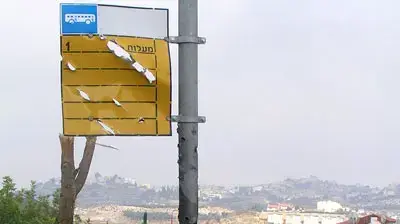 תמונות גולשים 188