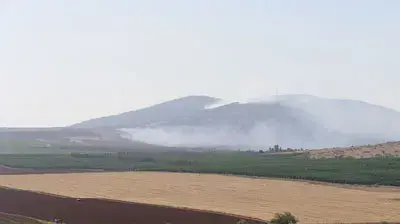 תמונות גולשים 184