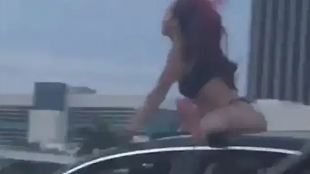 טוורקינג על גג מכונית נוסעת במיאמי טוורקינג על גג מכונית נוסעת במיאמי