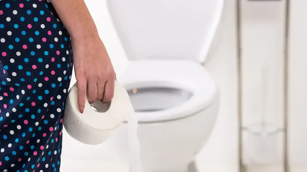 שירותים שירותים