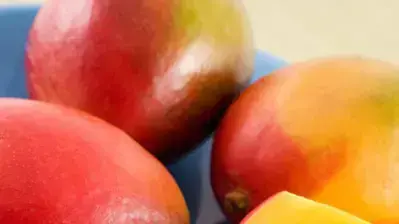 מנגו מנגו