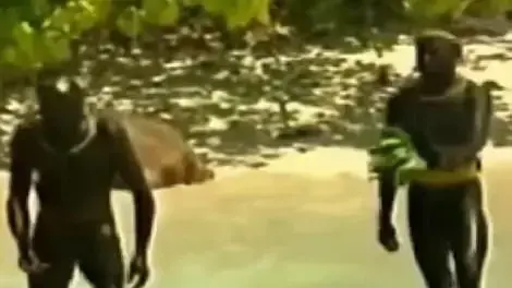 קשה לתפוס תמונות ברורות של הסנטינלזים המבודדים. קשה לתפוס תמונות ברורות של הסנטינלזים המבודדים.
