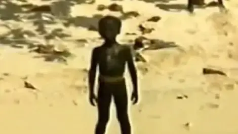 ילדי הסנטינלזים ילדי הסנטינלזים