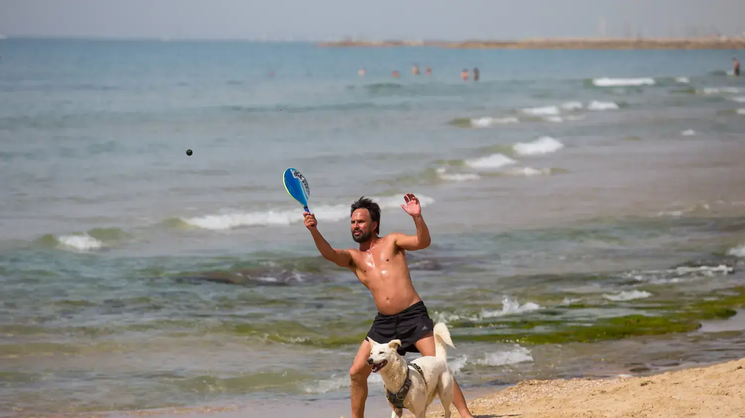 תמונות היום: נהנים מהחום בחופי תל אביב. 5 באפריל 2017 תמונות היום: נהנים מהחום בחופי תל אביב. 5 באפריל 2017