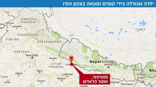 ילדה שגודלה בידי קופים נמצאה בצפון הודו ילדה שגודלה בידי קופים נמצאה בצפון הודו