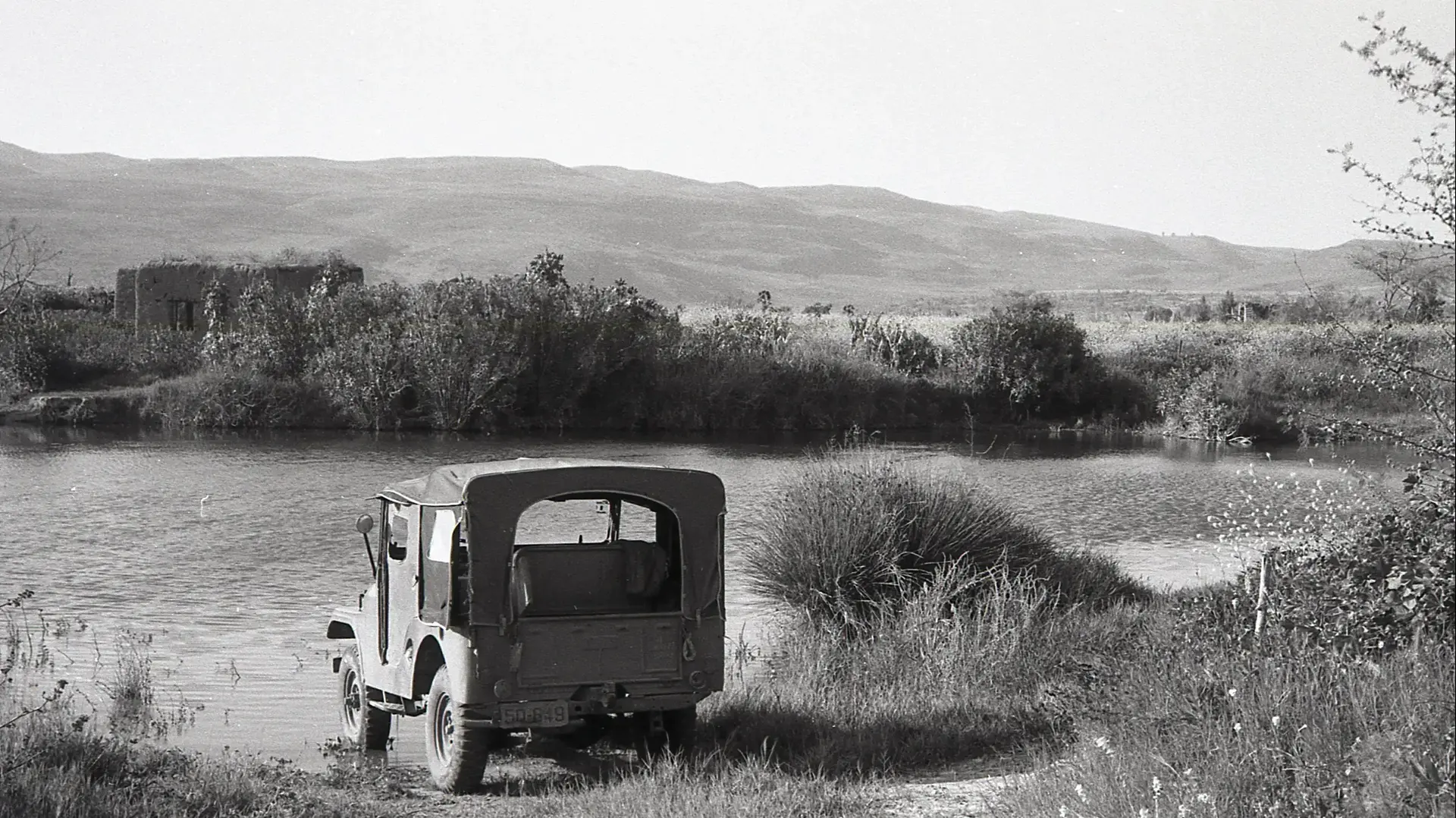 הג'יפ במגרסה יצחקי, רמת הגולן, 1968