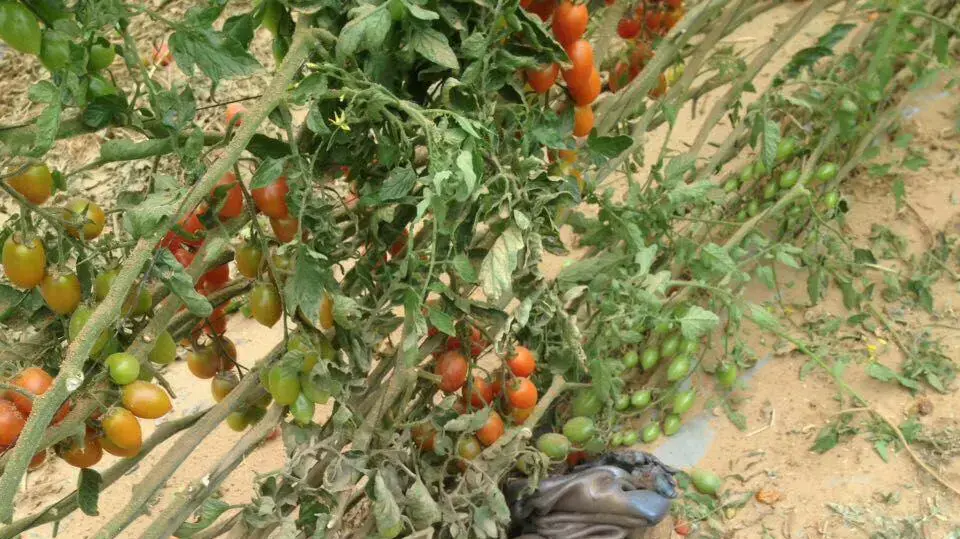 נפילת הרקטה במועצה האזורית אשכול, אפריל 2017 נפילת הרקטה במועצה האזורית אשכול, אפריל 2017