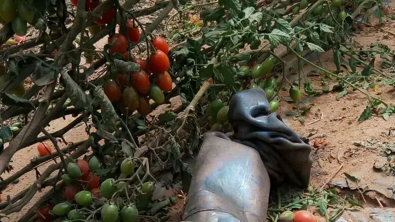 זירת נפילת רקטה בחממה במועצה האזורית אשכול, 10 באפריל 2017 זירת נפילת רקטה בחממה במועצה האזורית אשכול, 10 באפריל 2017