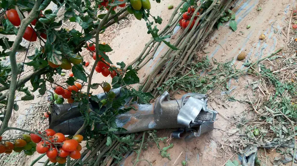 זירת נפילת רקטה בחממה במועצה האזורית אשכול, 10 באפריל 2017 זירת נפילת רקטה בחממה במועצה האזורית אשכול, 10 באפריל 2017