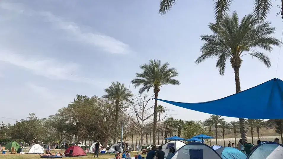 מטיילים בכינרת בפסח, אפריל 2017