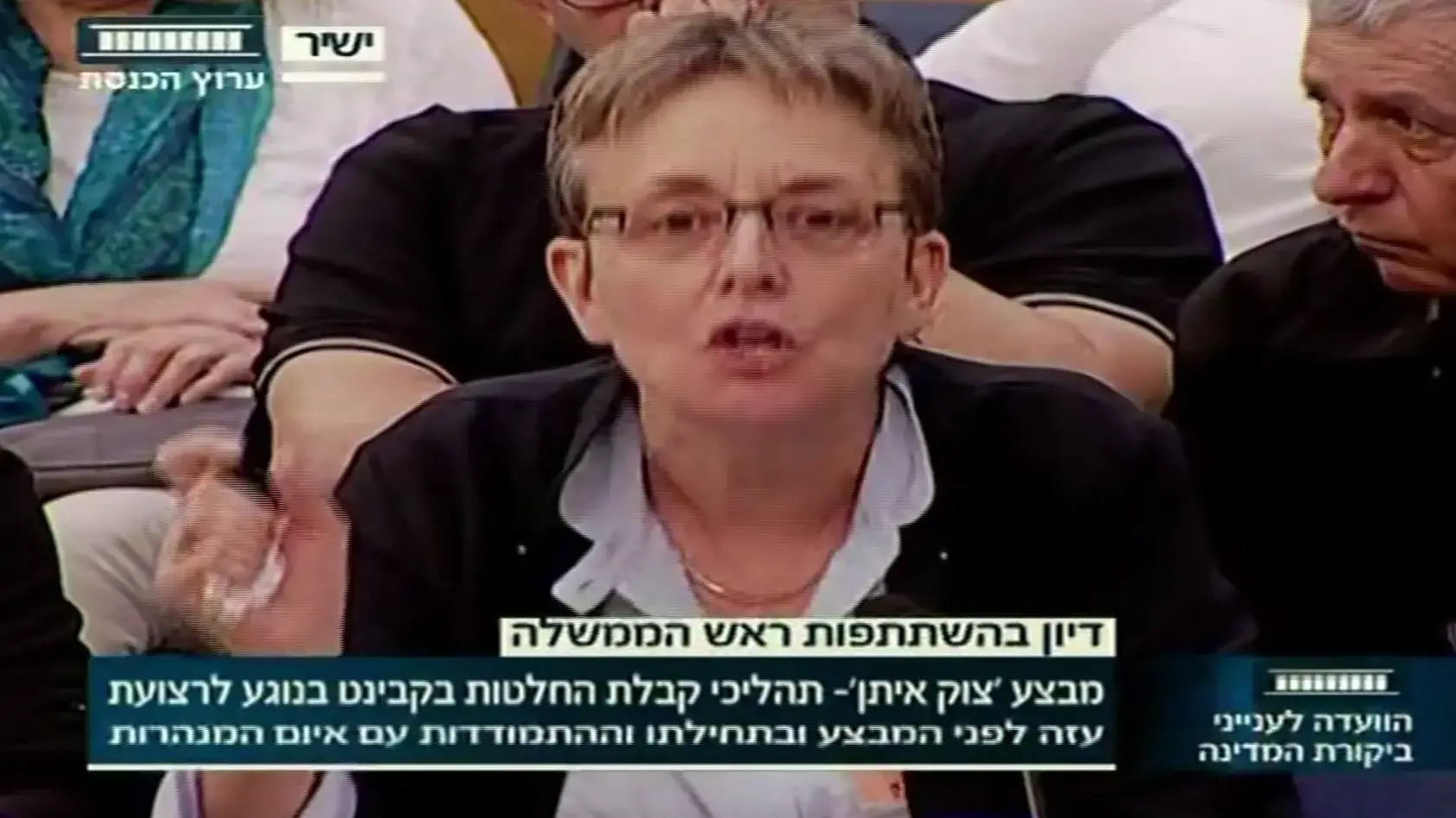 לאה גולדין, אמו של הדר גולדין, התפרצה לעבר ראש הממשלה בדיון על דוח "צוק איתן", אפריל 2017