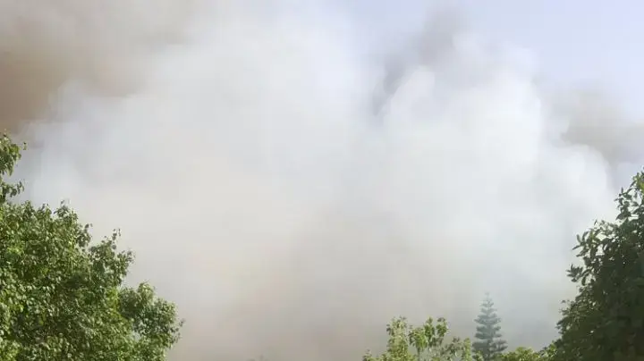 שריפה בשדה ורבורג שבדרום השרון, אפריל 2017 שריפה בשדה ורבורג שבדרום השרון, אפריל 2017