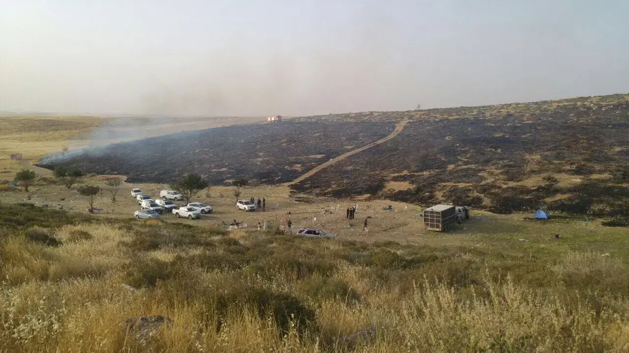 שריפה פרצה ביער דבירה שבנגב, אפריל 2017 שריפה פרצה ביער דבירה שבנגב, אפריל 2017