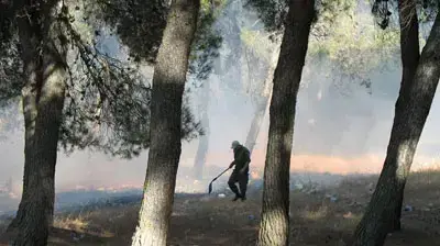 חייליים מכבים שריפות ביער בירייה (יאיר בן צבי)